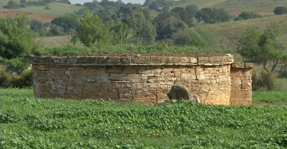 Baratti – Tradizioni e Cultura