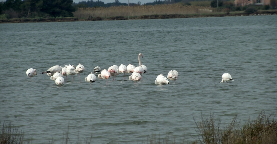 Grosseto – Ambiente e Territorio00000002