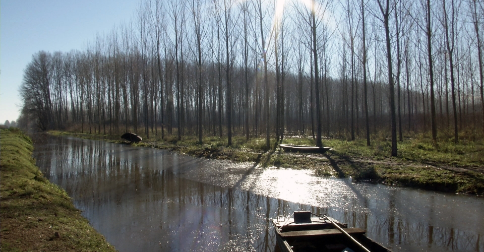 Padule di Fucecchio – Ambiente e Territorio 2